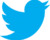 Twitter-logo-2012-300x244