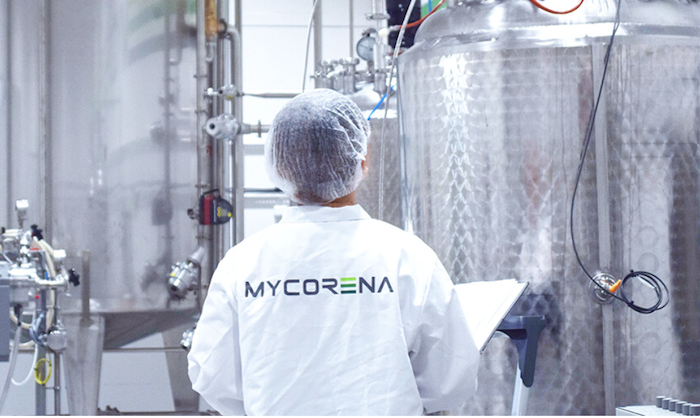 mycorena product climate tech startups to watch