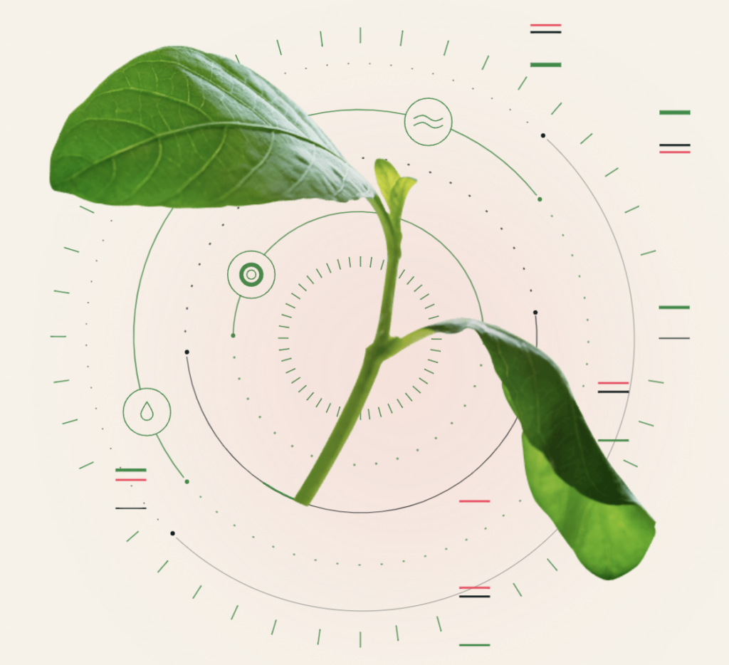 Phytoform labs climate tech startups to watch