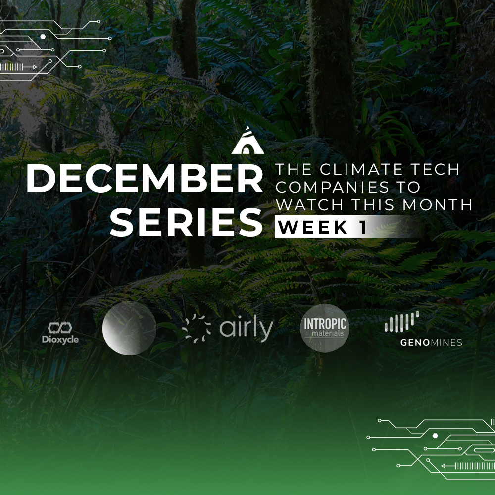 December series startups to watch week 1 feed image