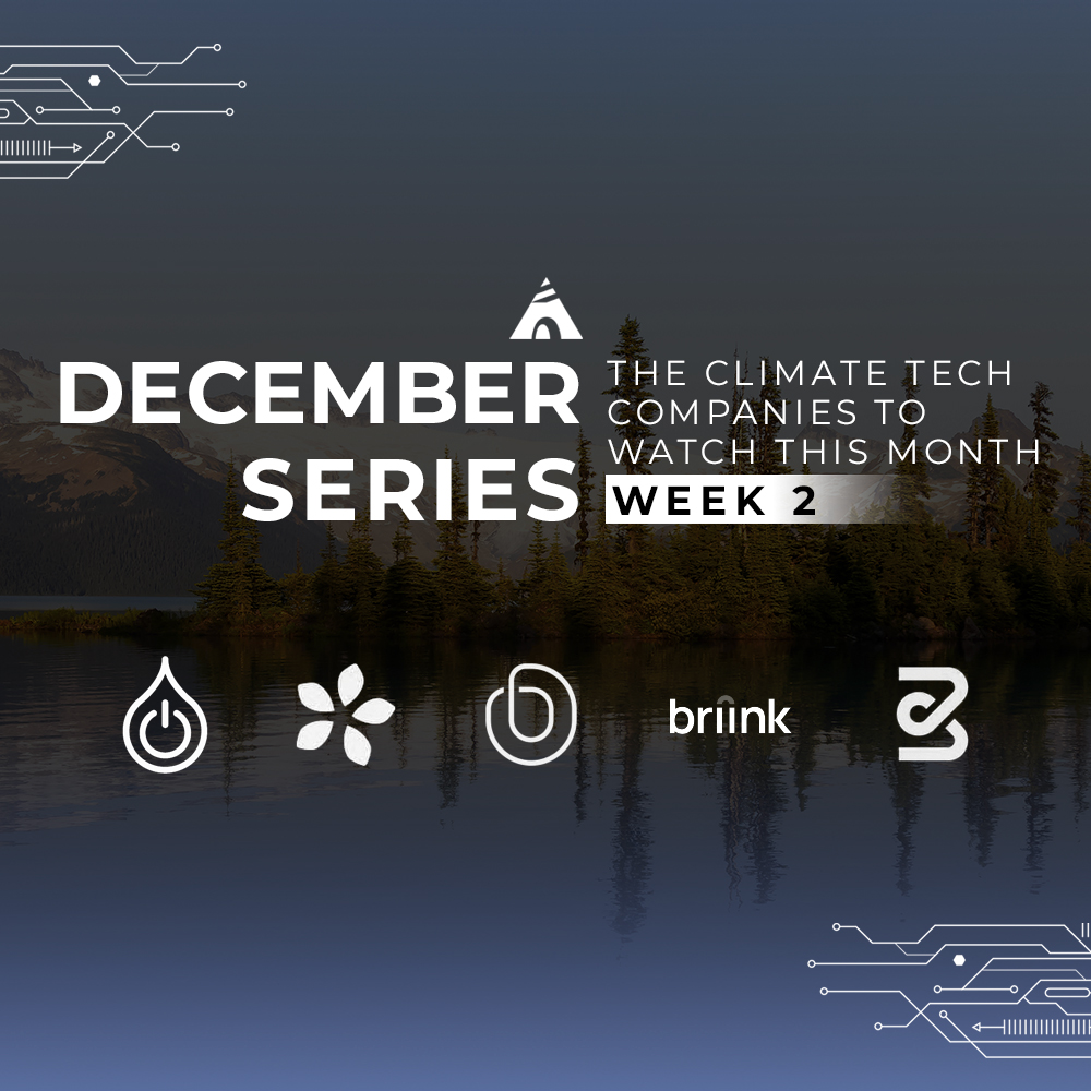 December series startups to watch week 2 feed image