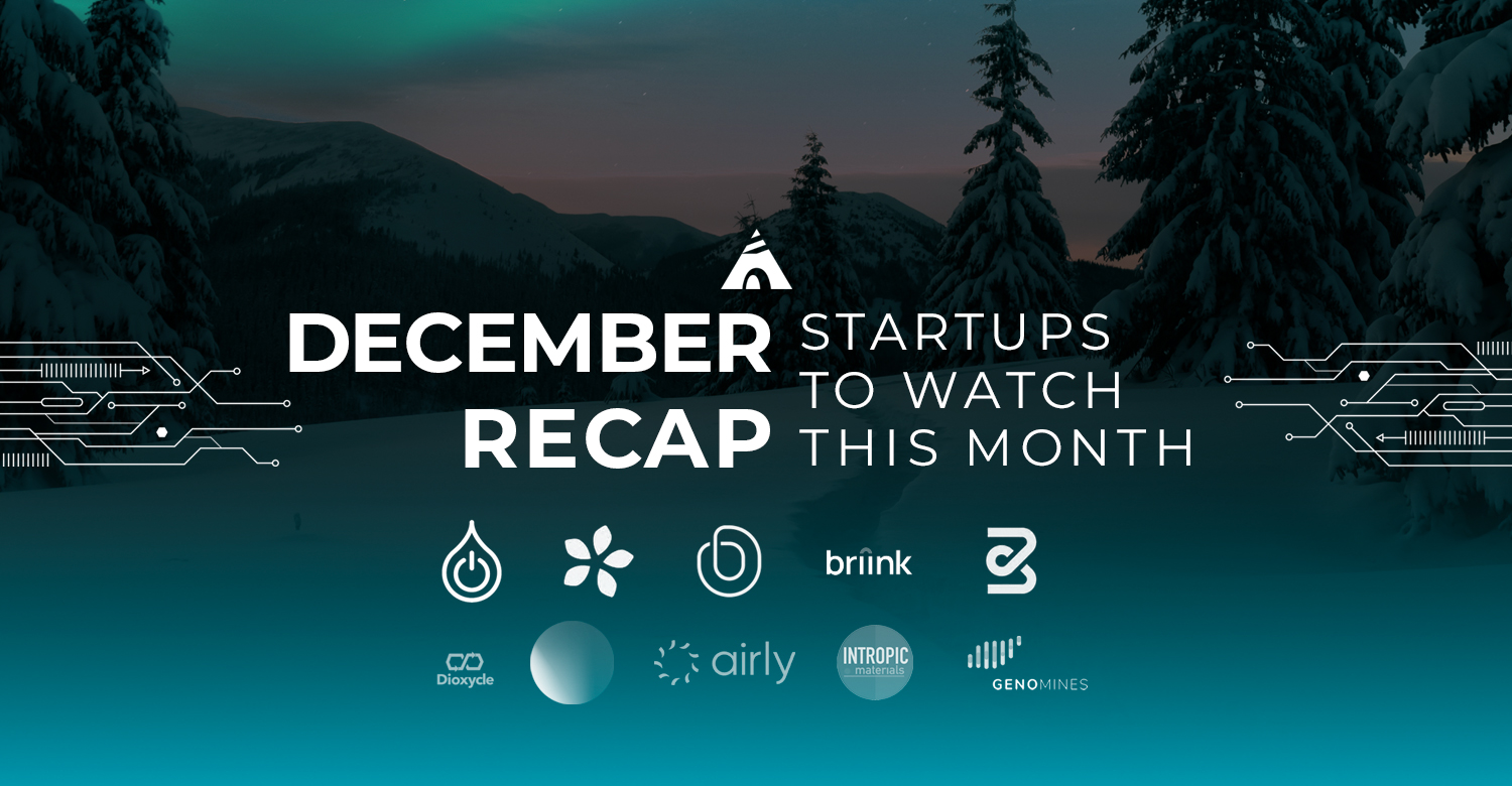 Startups to watch december recap