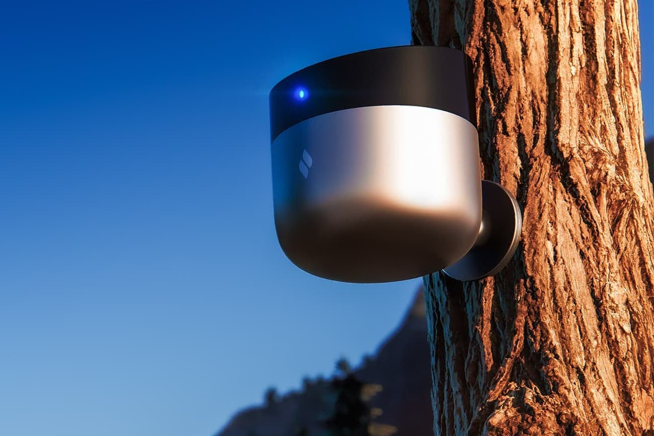 Climate tech startup Torch Sensor on tree